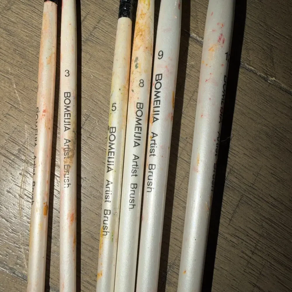 Bomeija Professional Watercolor Paint Brush Set 6 Pcs Slant Flat Well Loved Used